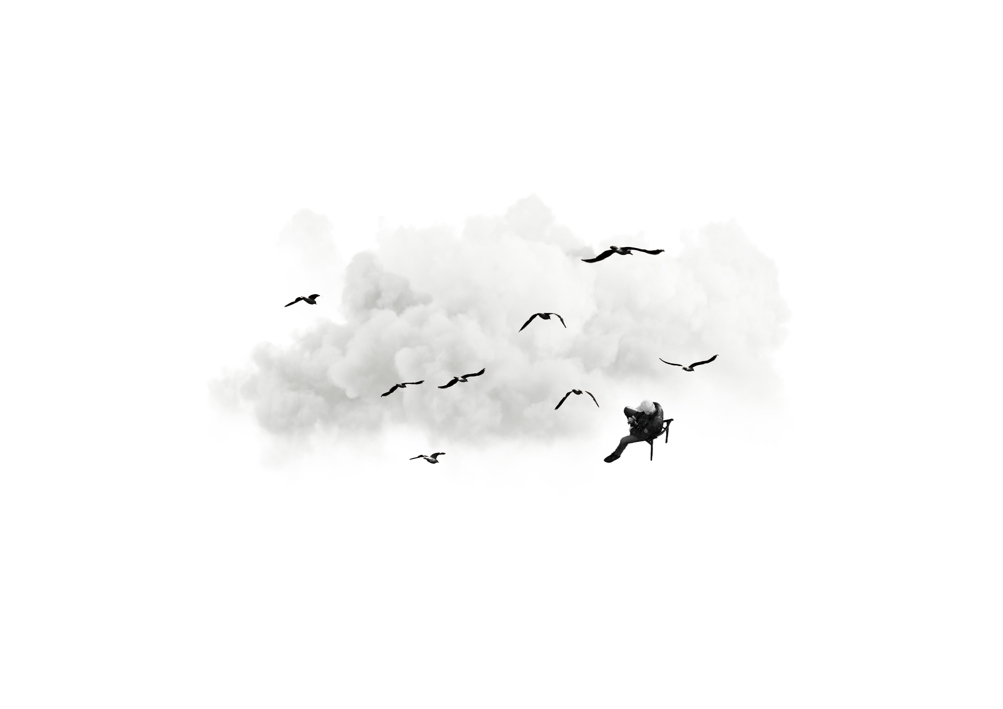 イラストと画像